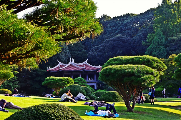 ShinjukuPark Shinjuku Park