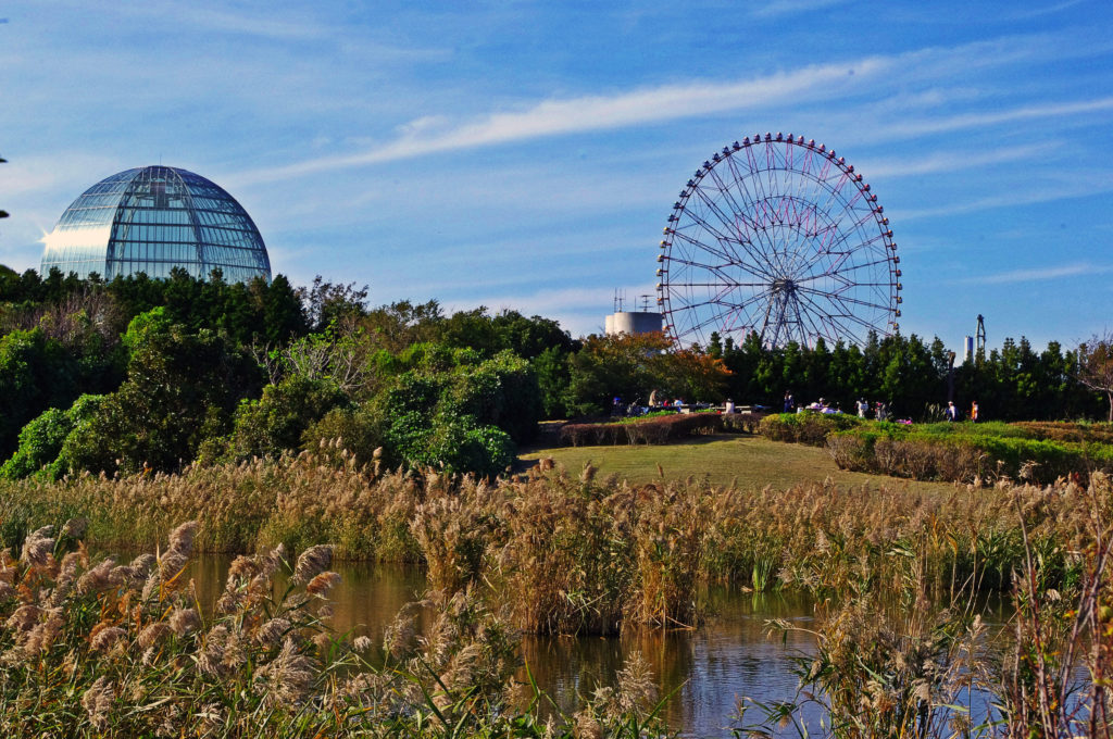 edogawa_hd2 Kasai Rinkai Koen