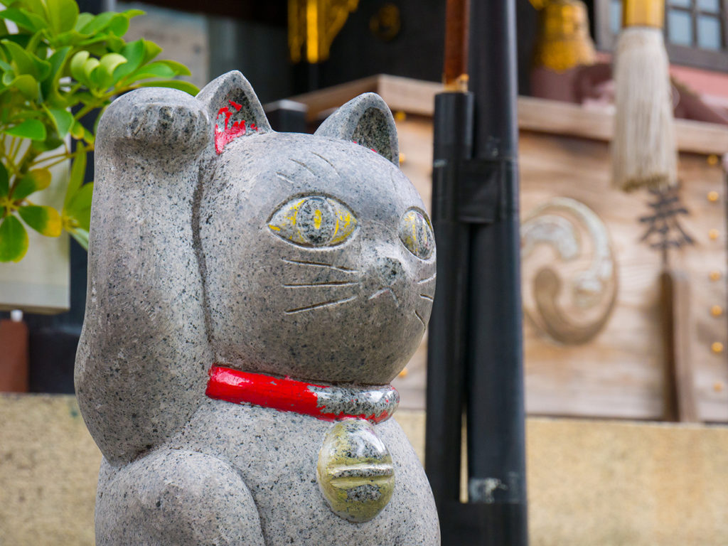 Cat in Imado shrine