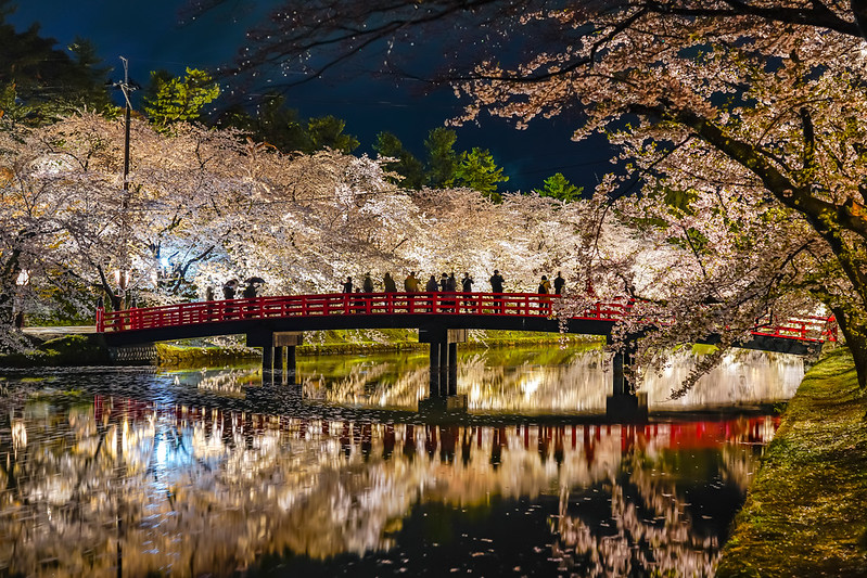 Beautiful Hirosaki Park - Cherry Blossom Festival
