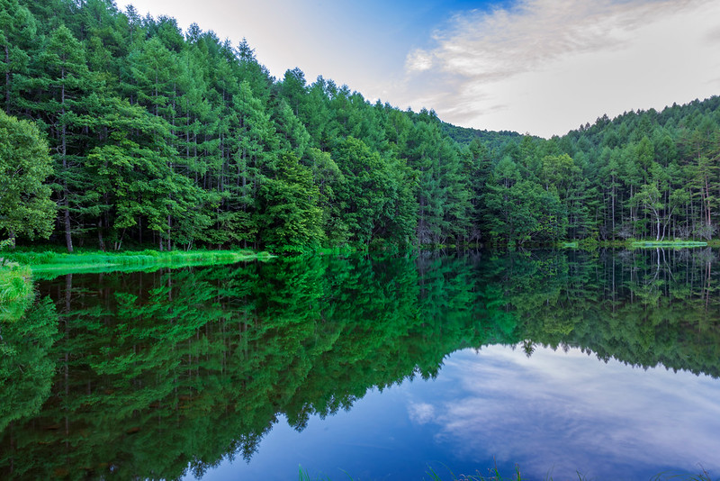 Mishaka Pond