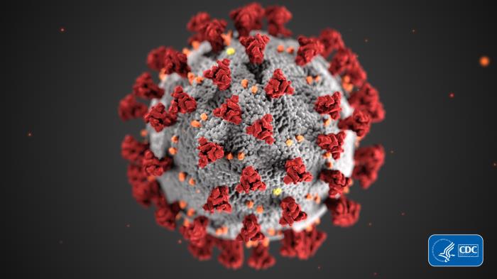 Covid-19 virus image.