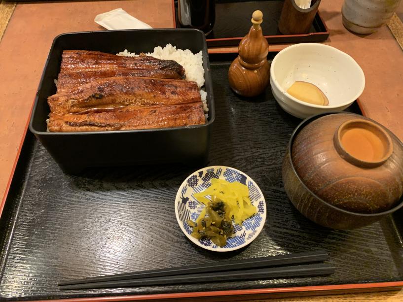 eel